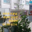 다우리미용실 - 은평구 응암동 | 다우리미용실