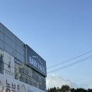 포그내 아기띠 디자인까지 예쁜 맥스플로우 구매한 후기