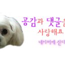 눈꽃팥빙수동빙고