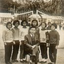 안미초등학교 이미지