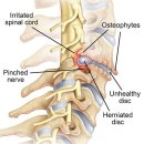 경희 강 한의원 이미지