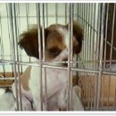 이제;우리 Daum카페