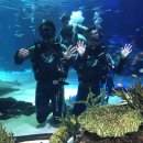 아쿠아플라넷63 이미지