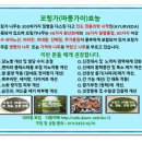 모링가식품카페
