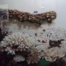 땅끝해양자연사박물관 이미지