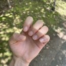 몽리네일