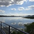 마당오리 이미지