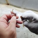 아산락실내바다낚시터 | 이색데이트 코스로 좋은 천안실내낚시터 아산락실내바다낚시터