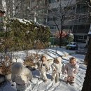 첫눈놀이 단체사진~ 이미지