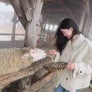 지민목장 이미지