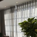 섬세한사랑니치과의원 이미지