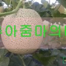 두리바이오