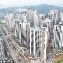 소유부동산합동공인중개사사무소 이미지