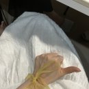 레이크라운지