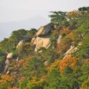 동남노인회 | 경주 동남산 산행 후기