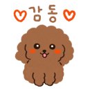 과일오빠&장봐주는 언니 이미지