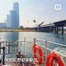 전원공원 | 서울 놀거리 여의도공원 한강유람선 예약 선착장 낭만 피크닉 후기