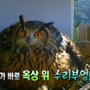 모정농장 이미지