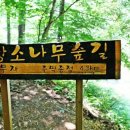 한나화원 이미지