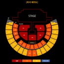 [콘서트] 2025 2NE1 콘서트 &lt;WELCOME BACK&gt; 앵콜 막콘 2층 방문후기 (31구역 6열/27구역2열)