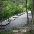 별빛소리 이미지