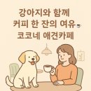 코코네 강아지 미용실 | 강아지와 함께 커피 한 잔의 여유☕️ 코코네 애견카페