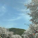 스테이아모