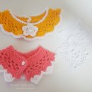 미미네강아지 이미지