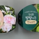 봉숭아손톱 이미지