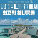 허니문결혼정보 이미지