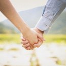 달콤한 민들레의 속 이미지