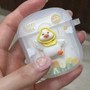 과일은달당서대전점