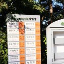 임천약국 네이버블로그