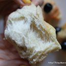 올리브향기 이미지