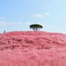 신소양체육공원 이미지