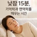 낮잠(midday / nap) 이미지