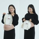 도담위드 | 동탄 가족사진 헤이쏠스튜디오 반려견 동반 만삭사진 촬영 후기