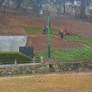 군강공원 이미지