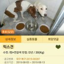 포산동물병원 | 대구지역 유기견보호소,동물병원 리스트입니다. (의정부촌놈, 동물보호관리시스템)