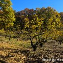 망우금호어울림(중랑숲금호어울림) 티스토리