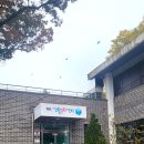 통기타와 놀자 이미지