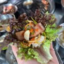 제주오두껍 이미지