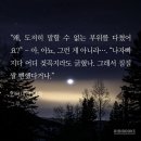 bl 인터미션 소개/영업글 (자세함) 8월14일 출간 이미지