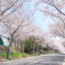 예래동-4 이미지