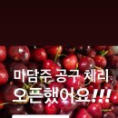 점보사 이미지