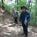 곡성-128 이미지