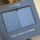 아기애견 | 멀멀 판교 브런치 맛집 주차 메뉴 애견동반 아기의자 콜키지 후기