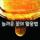 놀라운 꿀의 활용법 이미지