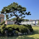 남해해성고등학교 이미지