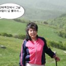 별빛동화펜션 이미지